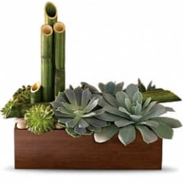 Succulent arrangement in a wooden box with bamboo stalks