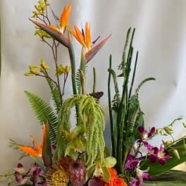 Tropical flower arrangement with orange bird-of-paradise and purple orchids