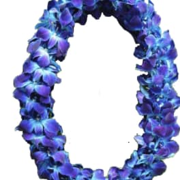Blue and purple floral lei on a white background
