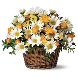 Basket of white daisies and yellow roses