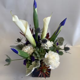 Arrangement of white calla lilies, carnations, and succulents in a dark vase