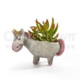 Percival the Unicorn Planter with Medium Air Plant or Succulent by Blobhouse