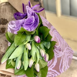 Purple-wrapped bouquet of pale tulips with green leaves