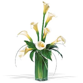 White calla lilies arranged in a tall glass vase