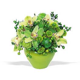 Green orchid arrangement in a lime vase