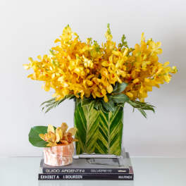 Yellow Mokara Orchids - Pasadena Florist