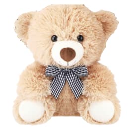 Plush teddy bear with a black-and-white checkered bow