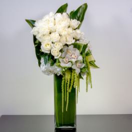 White Botanical Beauty - Pasadena Florist