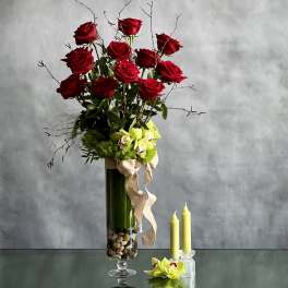 12 Roses Standing Tall - Sherman Oaks Florist