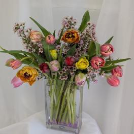 Mixed 20 Fresh Tulips