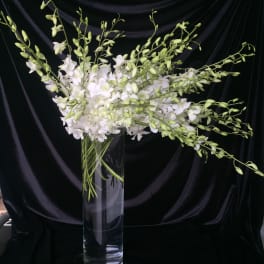 White orchid arrangement in a tall clear glass vase