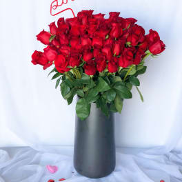 "Home Run" Six Dozen Long Stem Red Roses