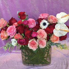 Bouquet of pink and red roses in a glass vase with white anthuriums