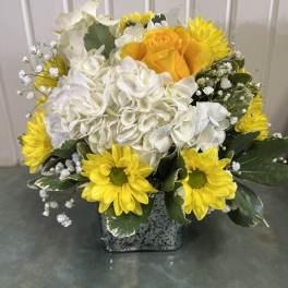 Yellow daisies and white hydrangeas in a square vase