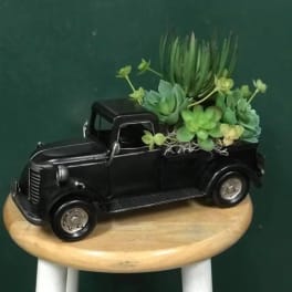 Black truck planter with green succulents on a stool