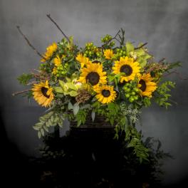Under the Tuscan Sunflowers - Pasadena Florist