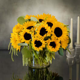 Here Comes The Sun - Sherman Oaks Florist