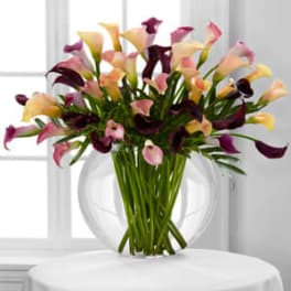 Bouquet of multicolored calla lilies in a clear glass vase