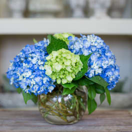Blue and green hydrangea bouquet in a glass vase