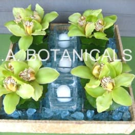 Four green orchid blooms arranged around glass candle holders in a tray.