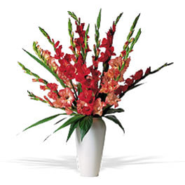 Tall red and peach floral arrangement in a white vase