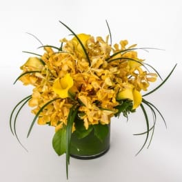 Yellow orchid arrangement in a glass vase with long grass accents