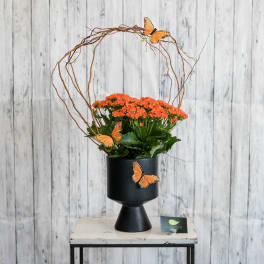 Potted orange flowering plant in a black pedestal pot with twig arch and faux butterflies
