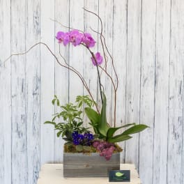 Tall planter with purple orchid, small green plant, and violet flowers in a gray wooden box