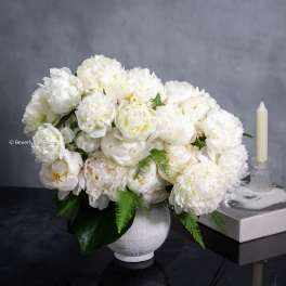 Whispering Love - A Romance in White Peonies