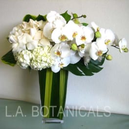 White orchids and cream hydrangeas in a tall green vase