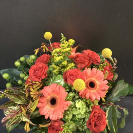 Compact arrangement of coral gerbera daisies, red roses, green hydrangea, and yellow accent flowers.