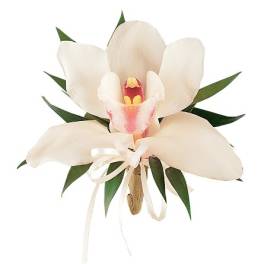 White orchid corsage with a ribbon tie and green leaves