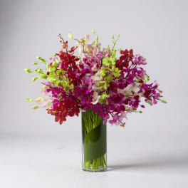 Colorful orchid bouquet in a tall glass vase