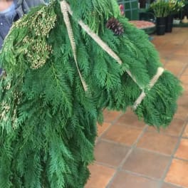 Large green evergreen garland arrangement with ribbon and pinecones