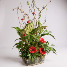 Tall floral arrangement with red gerbera daisies in a glass container