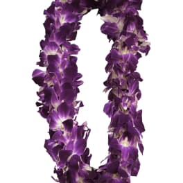Purple orchid flower lei arranged in a full loop