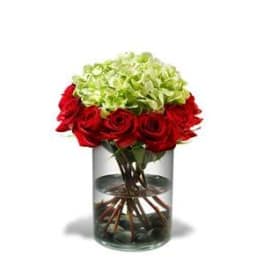 Red roses and pale green hydrangeas in a clear glass vase