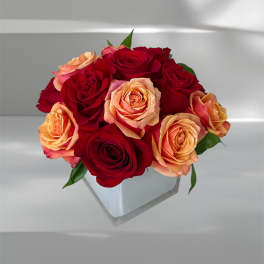 Red and peach roses arranged in a clear square vase