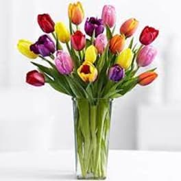 Bouquet of multicolored tulips in a clear glass vase