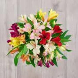 Bouquet of multicolored lilies with green foliage