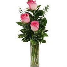 Three pink roses in a tall clear glass vase