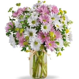 Pink and white daisy bouquet in a clear glass vase