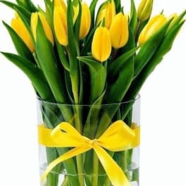 Yellow tulips in a clear glass vase with a yellow ribbon