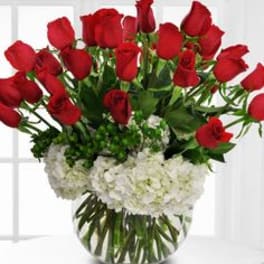 Red roses arranged in a clear glass vase with white hydrangeas