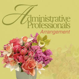 Administrative Professional