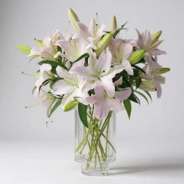 Ooh-La-La Lilies