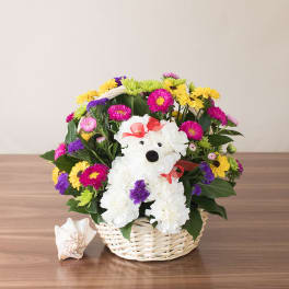 Basket arrangement of colorful daisies with a white carnation dog figure and red bow on a wooden table
