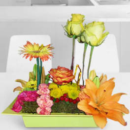Colorful mixed flower arrangement in a lime green rectangular container