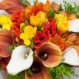 Bouquet of orange, yellow, white, and brown calla lilies