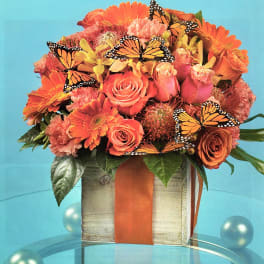 Orange and pink flower arrangement in a square box with butterfly accents